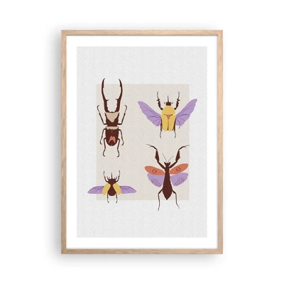 Poster in einem Rahmen aus heller Eiche - Insektenwelt - 50x70 cm
