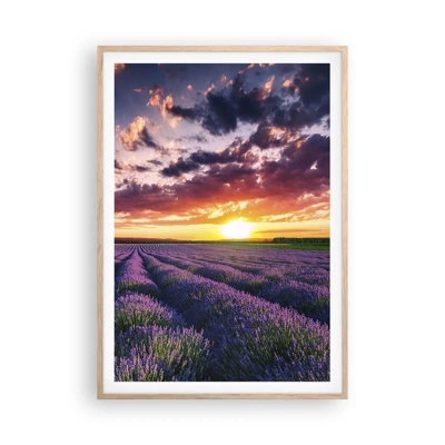 Poster in einem Rahmen aus heller Eiche - Lavendel Welt - 70x100 cm