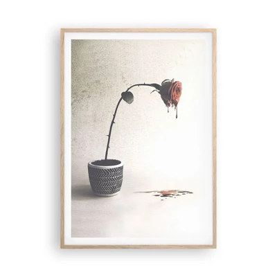 Poster in einem Rahmen aus heller Eiche - Rosa dolorosa - 70x100 cm