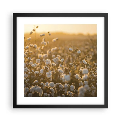 Poster in einem schwarzem Rahmen - Fluffiges Feld - 40x40 cm