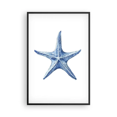 Poster in einem schwarzem Rahmen - Stern des Meeres - 61x91 cm