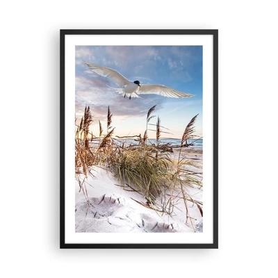 Poster in einem schwarzem Rahmen - Wind vom Meer - 50x70 cm