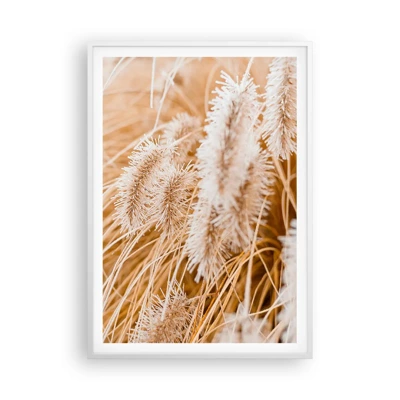 Poster in einem weißen Rahmen - Das goldene Rauschen des Grases - 70x100 cm