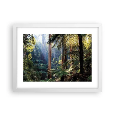Poster in einem weißen Rahmen - Ein Waldmärchen - 40x30 cm