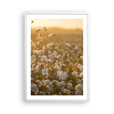 Poster in einem weißen Rahmen - Fluffiges Feld - 50x70 cm