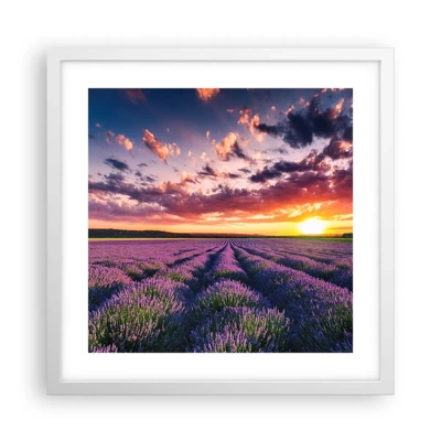 Poster in einem weißen Rahmen - Lavendel Welt - 40x40 cm