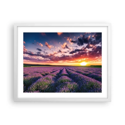 Poster in einem weißen Rahmen - Lavendel Welt - 50x40 cm
