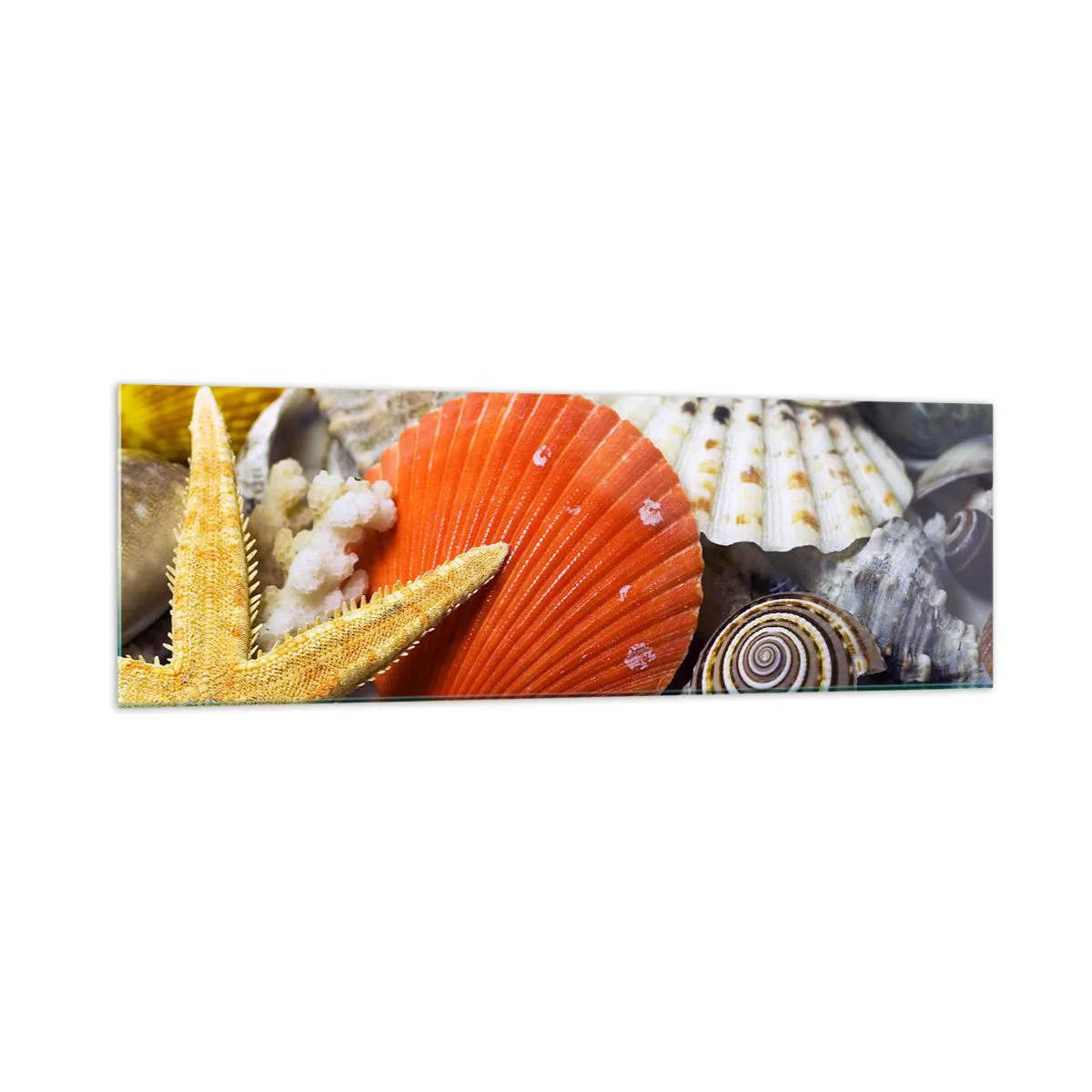 Glasbild, Bilder auf glas Arttor 160x50 cm - Schätze des Ozeans - Natur, Muscheln, Korallenriff, Seestern, Meer, Ins Wohnzimmer, Für Schlafzimmer, Orange, Gelb, Horizontal, Glas, GAB160x50-0456