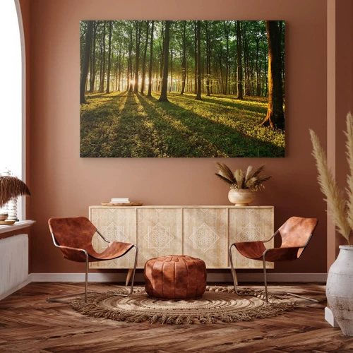 Bild auf Leinwand - Leinwandbild - Alle Frühlingsfotografie - 70x50 cm