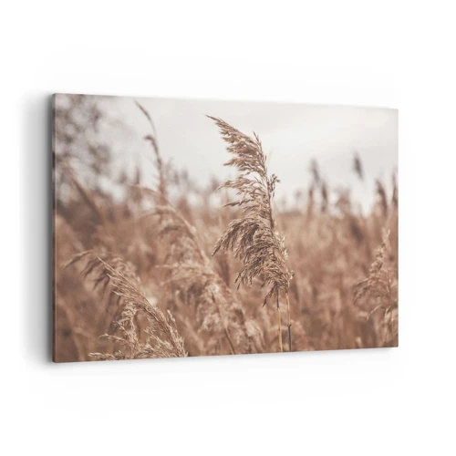 Bild auf Leinwand - Leinwandbild - Auf den Feldern ist es schon Herbst - 100x70 cm