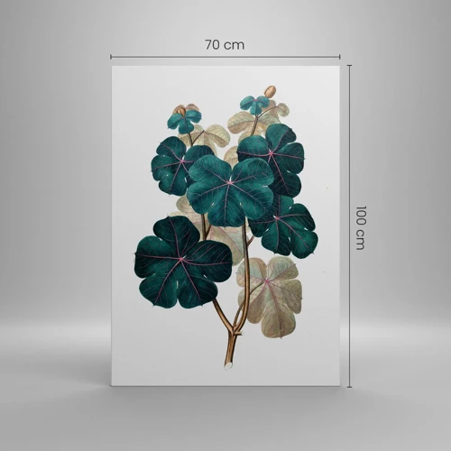 Bild auf Leinwand - Leinwandbild - Aus dem alten Herbarium - 70x100 cm