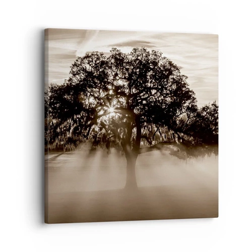 Bild auf Leinwand - Leinwandbild - Baum der guten Nachrichten  - 30x30 cm