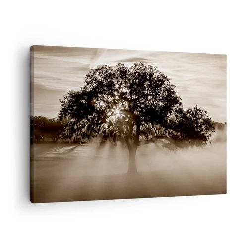 Bild auf Leinwand - Leinwandbild - Baum der guten Nachrichten  - 70x50 cm