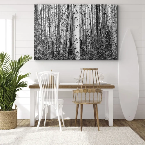 Bild auf Leinwand - Leinwandbild - Birkenkolonnade - 70x50 cm