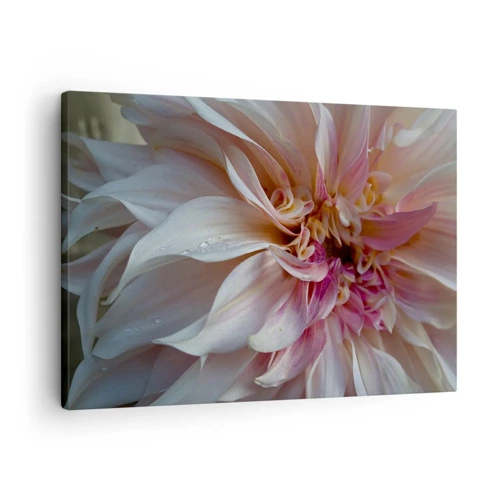 Bild auf Leinwand - Leinwandbild - Blühende Frische - 70x50 cm