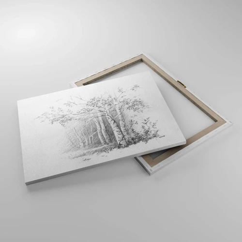 Bild auf Leinwand - Leinwandbild - Das Licht des Birkenwaldes - 70x50 cm