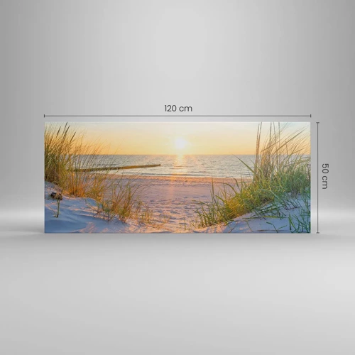 Bild auf Leinwand - Leinwandbild - Das Rauschen des Meeres, der Gesang der Vögel, ein wilder Strand im Gras ... - 120x50 cm