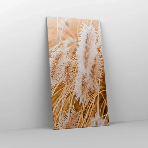 Bild auf Leinwand - Leinwandbild - Das goldene Rauschen des Grases - 65x120 cm