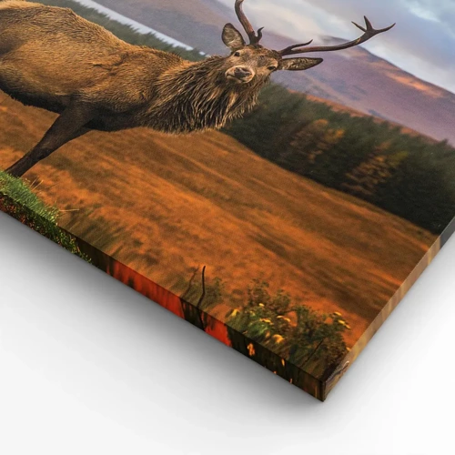 Bild auf Leinwand - Leinwandbild - Die Majestät der Natur - 50x50 cm