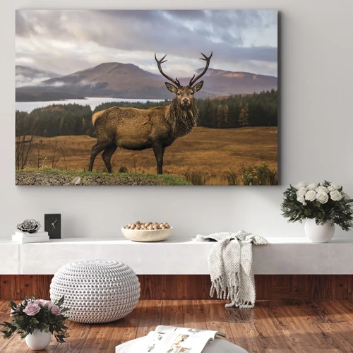 Bild auf Leinwand - Leinwandbild - Die Majestät der Natur - 70x50 cm