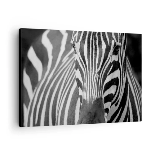 Bild auf Leinwand - Leinwandbild - Die Welt ist schwarz und weiß - 70x50 cm