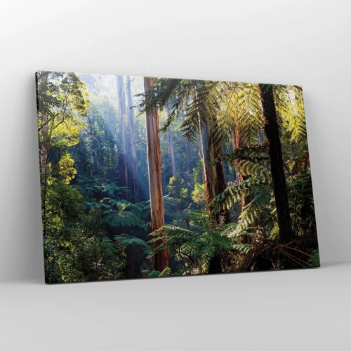 Bild auf Leinwand - Leinwandbild - Ein Waldmärchen - 120x80 cm