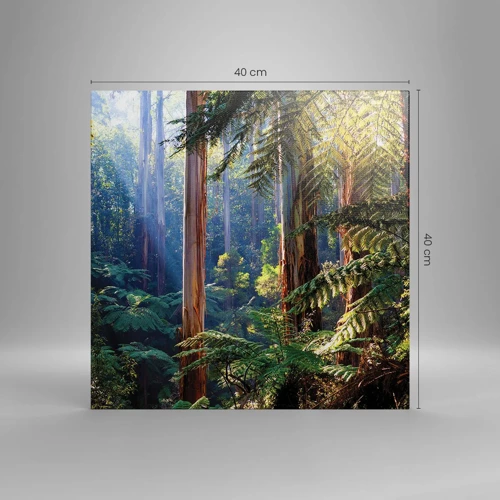 Bild auf Leinwand - Leinwandbild - Ein Waldmärchen - 40x40 cm