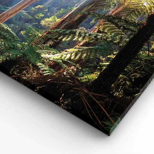 Bild auf Leinwand - Leinwandbild - Ein Waldmärchen - 40x40 cm