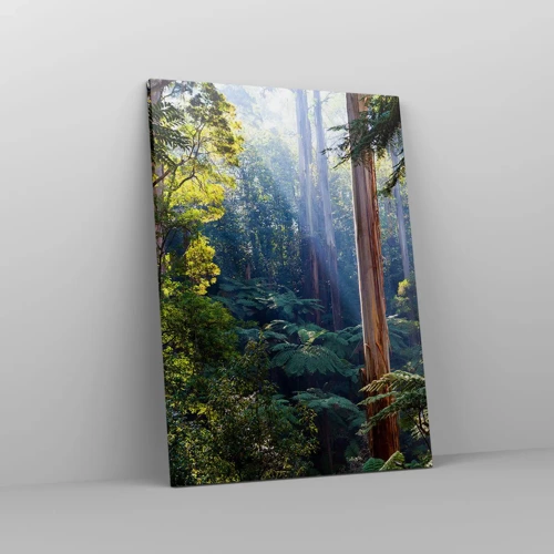 Bild auf Leinwand - Leinwandbild - Ein Waldmärchen - 50x70 cm
