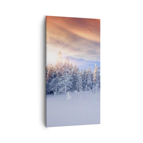 Bild auf Leinwand - Leinwandbild - Ein verschneites Naturschauspiel - 55x100 cm