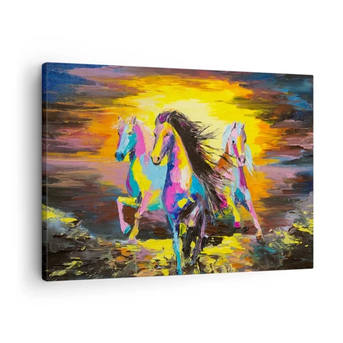 Bild auf Leinwand - Leinwandbild - Eingetaucht in den Regenbogen - 70x50 cm