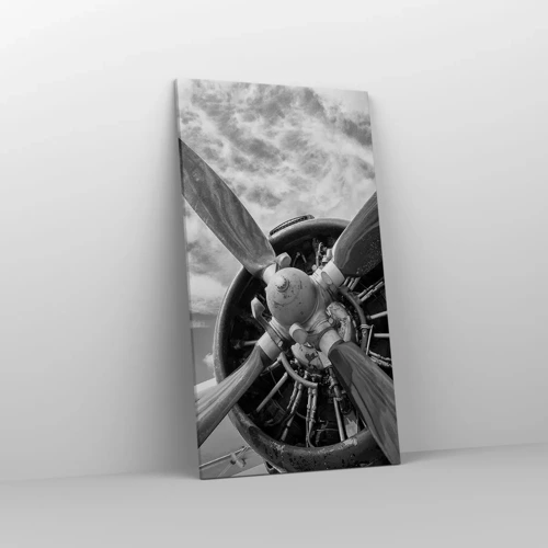Bild auf Leinwand - Leinwandbild - Eroberer der Lüfte - 55x100 cm