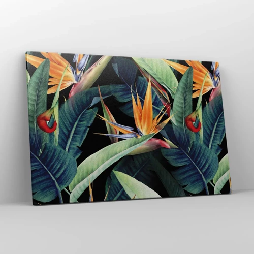 Bild auf Leinwand - Leinwandbild - Flammende Blumen der Tropen - 120x80 cm