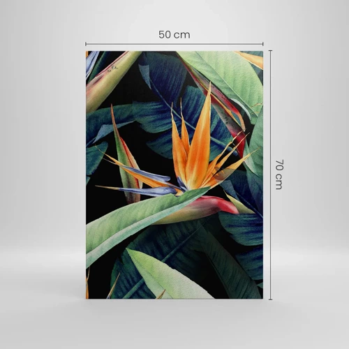 Bild auf Leinwand - Leinwandbild - Flammende Blumen der Tropen - 50x70 cm