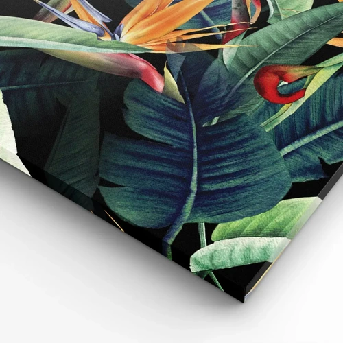 Bild auf Leinwand - Leinwandbild - Flammende Blumen der Tropen - 55x100 cm