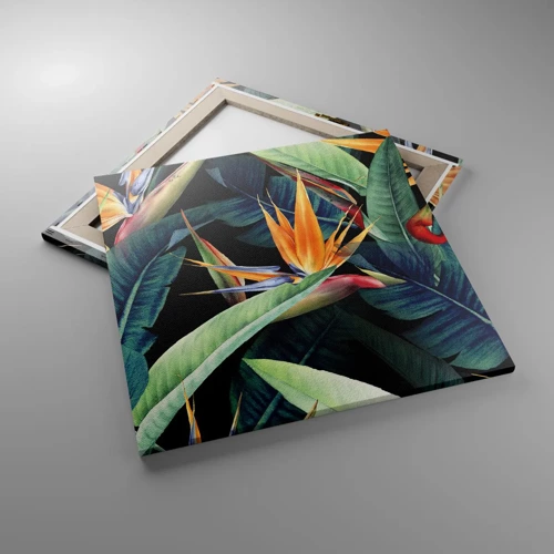 Bild auf Leinwand - Leinwandbild - Flammende Blumen der Tropen - 60x60 cm
