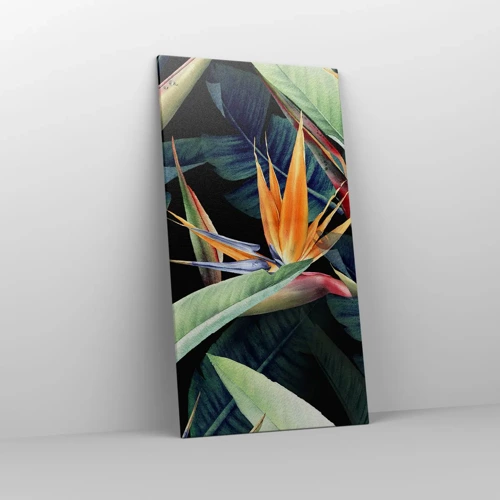 Bild auf Leinwand - Leinwandbild - Flammende Blumen der Tropen - 65x120 cm