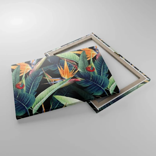 Bild auf Leinwand - Leinwandbild - Flammende Blumen der Tropen - 70x50 cm