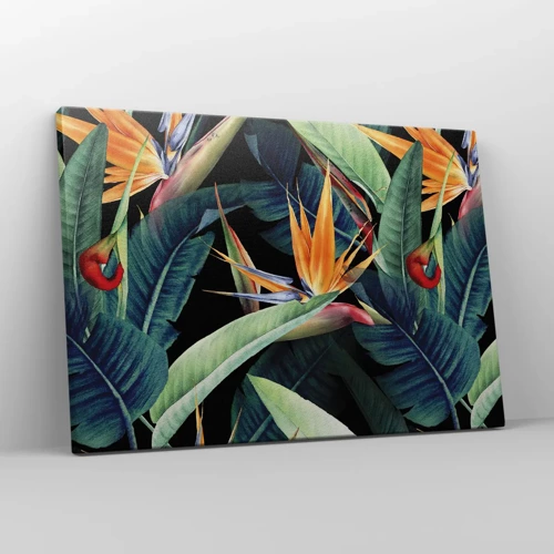 Bild auf Leinwand - Leinwandbild - Flammende Blumen der Tropen - 70x50 cm