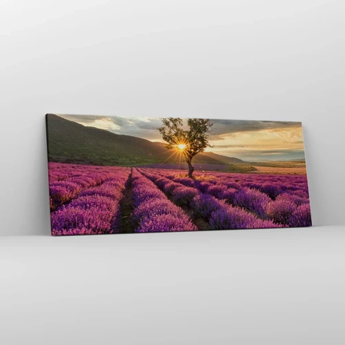 Bild auf Leinwand - Leinwandbild - Fliederfarbenes Aroma - 100x40 cm