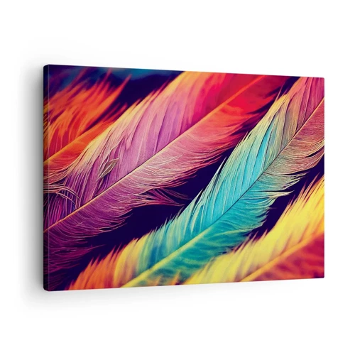 Bild auf Leinwand - Leinwandbild - Gefiederter Regenbogen - 70x50 cm
