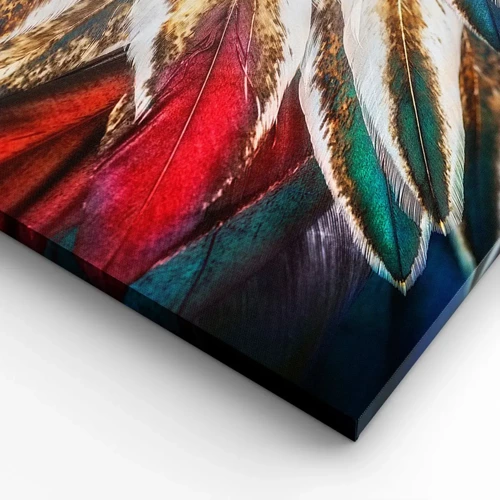 Bild auf Leinwand - Leinwandbild - Geheimnisse des Fliegens - 100x40 cm