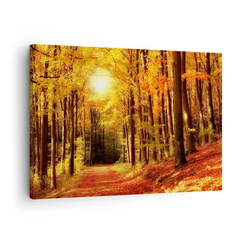 Bild auf Leinwand - Leinwandbild - Goldener Herbst auf einer Forststraße - 70x50 cm