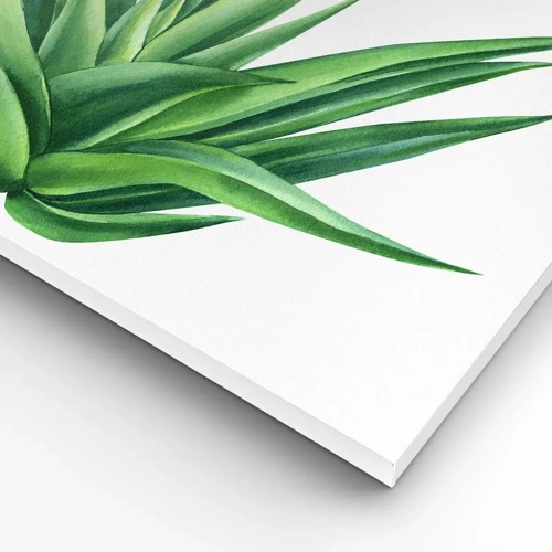 Bild auf Leinwand - Leinwandbild - Grün – Kraft – Leben - 70x50 cm