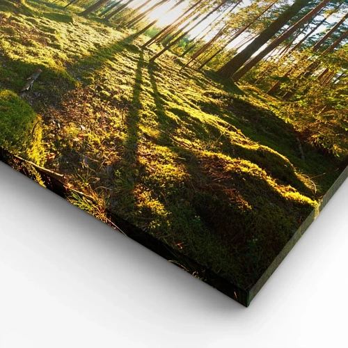 Bild auf Leinwand - Leinwandbild - … Hinter den sieben Wäldern - 55x100 cm