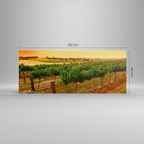 Bild auf Leinwand - Leinwandbild - Holen Sie sich einen Drink von der Sonne - 100x40 cm