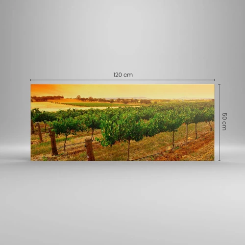 Bild auf Leinwand - Leinwandbild - Holen Sie sich einen Drink von der Sonne - 120x50 cm