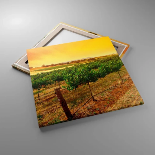 Bild auf Leinwand - Leinwandbild - Holen Sie sich einen Drink von der Sonne - 60x60 cm