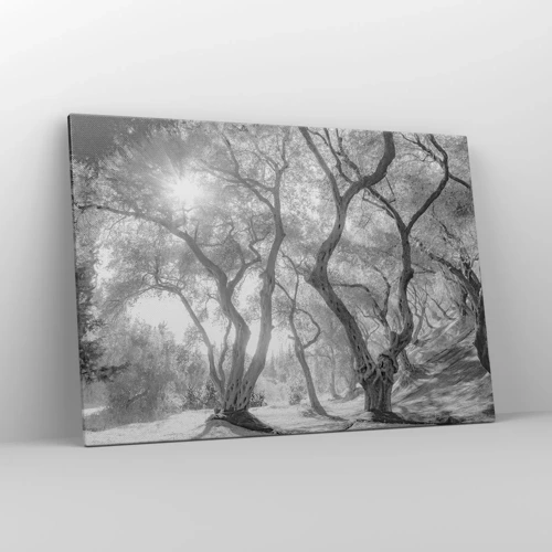 Bild auf Leinwand - Leinwandbild - Im Olivenhain - 100x70 cm