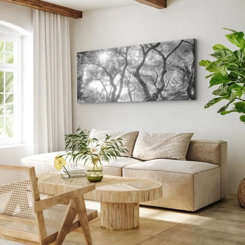 Bild auf Leinwand - Leinwandbild - Im Olivenhain - 120x50 cm